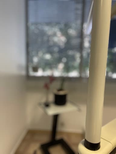 Clinica Dental Salt logo