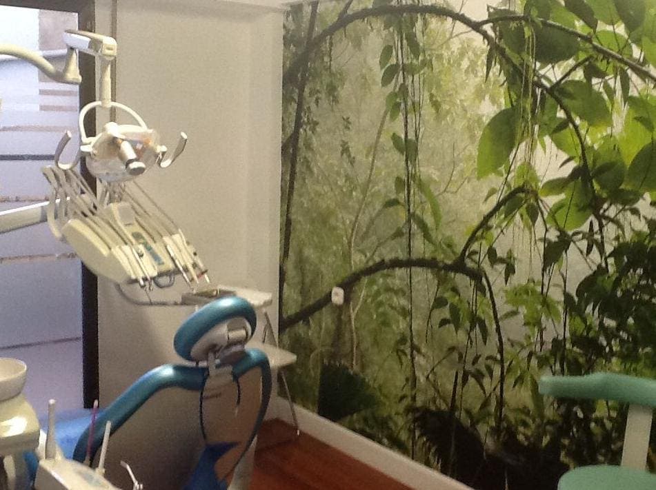 Clínica Dental Paula Sigwald logo