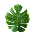 Clinica Dental Naturden Clínica Dental Calonge Costa Brava Girona logo