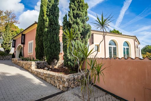 Clinica Dental Advance logo