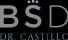 Clinica Dental Bio Salud Dental - Dres. Castillo logo