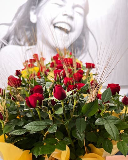 Clínica Dental Dentalqb logo