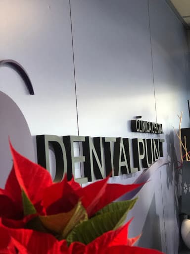 Clinica Dental Dentalpunt logo