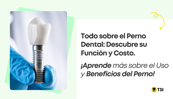 todo sobre el perno dental descubre su funcion 2