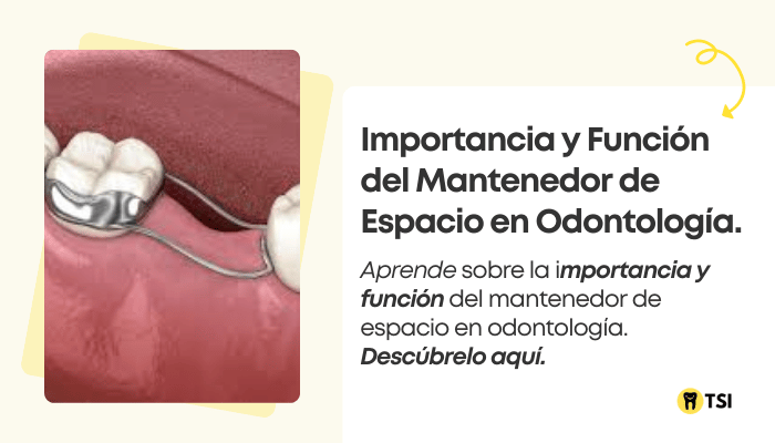 importancia y funcion del mantenedor de espacio en odontologia 1